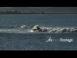Canoe Surf 2 1462